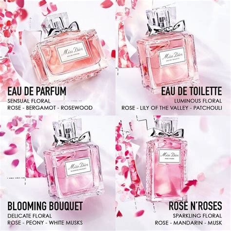 miss dior blooming bouquet vs rose n roses